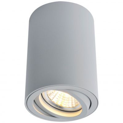 Светильник потолочный Arte Lamp A1560PL-1GY