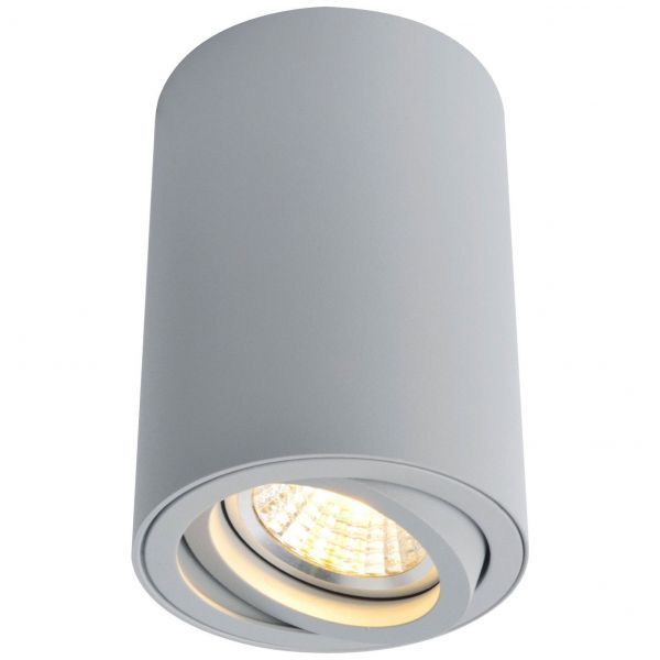 Светильник потолочный Arte Lamp A1560PL-1GY