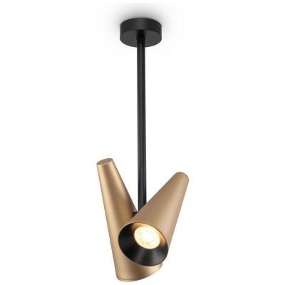 Подвесная люстра Maytoni MOD095CL-02BS