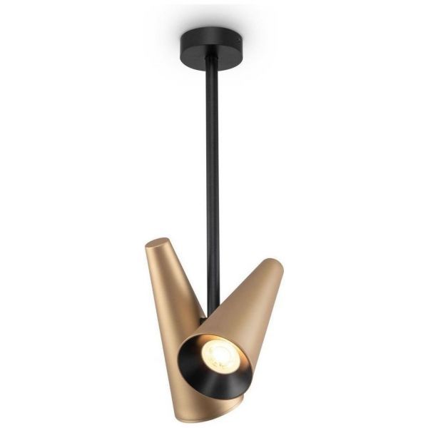 Подвесная люстра Maytoni MOD095CL-02BS