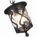 Светильник уличный подвесной ST Luce SL085.403.01