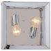 Светильник потолочный ST Luce SL381.102.02