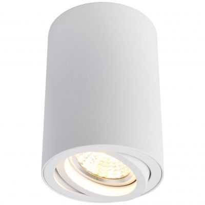 Светильник потолочный Arte Lamp A1560PL-1WH