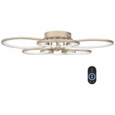 Потолочная светодиодная люстра ST Luce Dimmer SL867.202.06