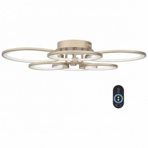 Потолочная светодиодная люстра ST Luce Dimmer SL867.202.06