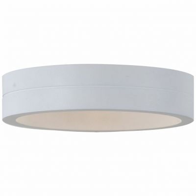 Светильник уличный настенный ST Luce SL562.501.01