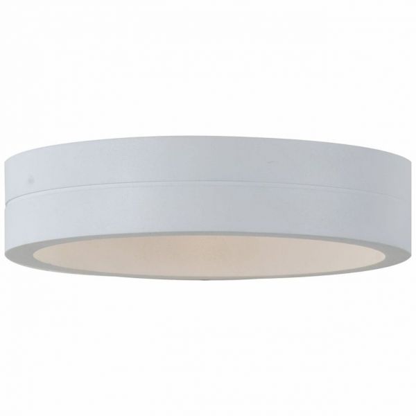 Светильник уличный настенный ST Luce SL562.501.01