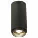 Светильник потолочный Zoom ST Luce ST600.442.10