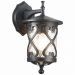 Светильник уличный настенный ST Luce SL085.411.01