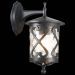 Светильник уличный настенный ST Luce SL085.411.01
