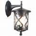Светильник уличный настенный ST Luce SL085.411.01