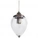 Светильник Arte Lamp A1091SP-1AB