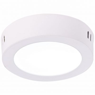 Светильник настенно-потолочный ST Luce ST112.542.06