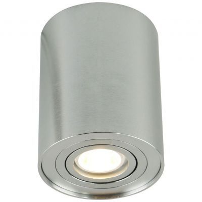 Светильник потолочный Arte Lamp A5644PL-1SI
