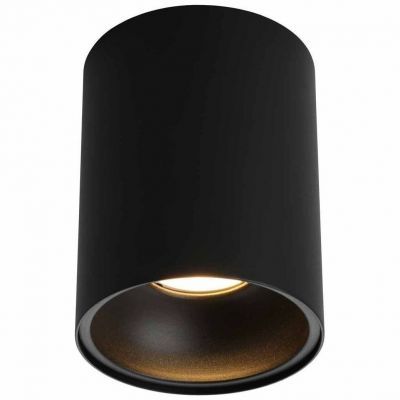 Потолочный светильник Omnilux Cariano OML-101219-01