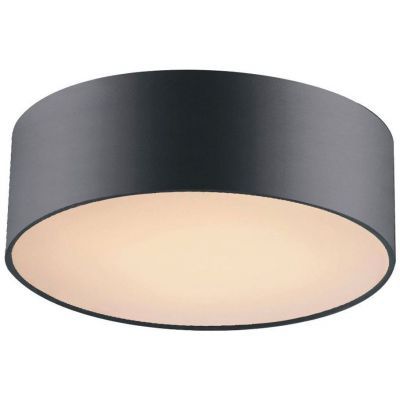 Светильник потолочный FAVOURITE 1514-2C