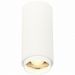 Светильник потолочный Zoom ST Luce ST600.532.10