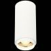Светильник потолочный Zoom ST Luce ST600.532.10