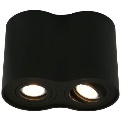 Светильник потолочный Arte Lamp A5644PL-2BK