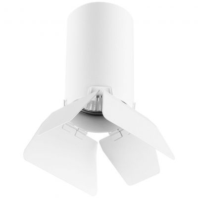 Накладной светильник Lightstar Rullo R436436