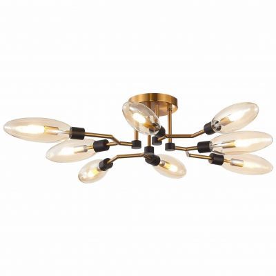 Люстра потолочная ST Luce SL1174.302.08