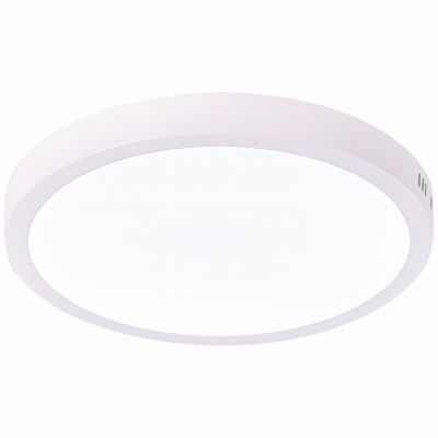 Светильник настенно-потолочный ST Luce ST112.542.24