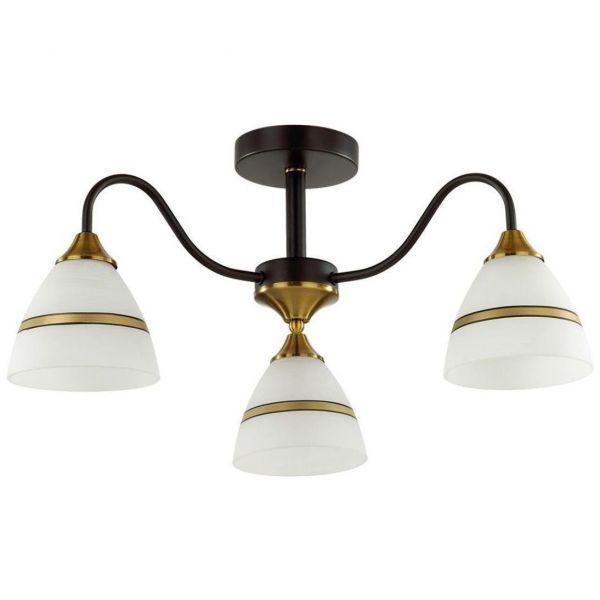 Потолочная люстра Lumion Nettie 5214/3C