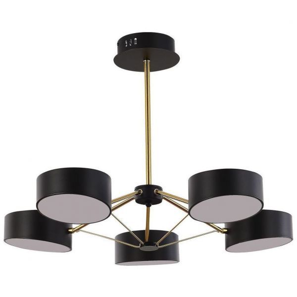 Потолочная светодиодная люстра Evoluce SLE6005-402-05