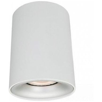Потолочный светильник Arte Lamp A1532PL-1WH Torre