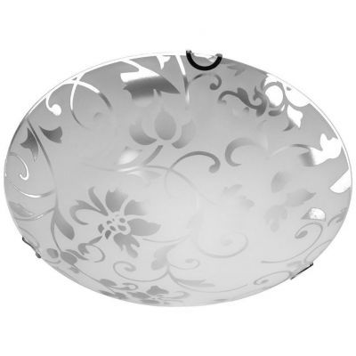 Настенно-потолочный светильник Arte Lamp A4120PL-2CC
