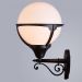 Светильник Arte Lamp A1491AL-1BK