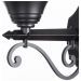 Светильник Arte Lamp A1491AL-1BK