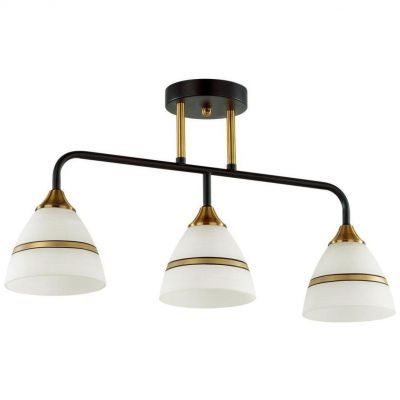 Потолочная люстра Lumion Nettie 5214/3CA