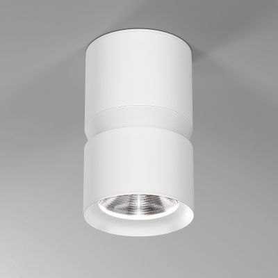 Светильник потолочный светодиодный Kayo 12W 4000К белый Elektrostandard 25049/LED
