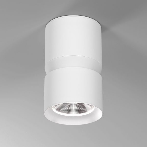 Светильник потолочный светодиодный Kayo 12W 4000К белый Elektrostandard 25049/LED