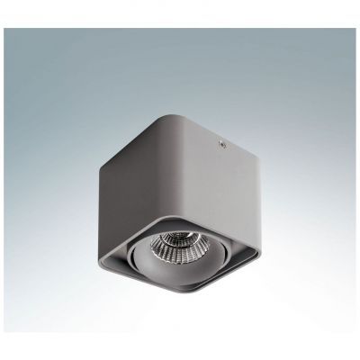 Точечный светильник Lightstar 212519