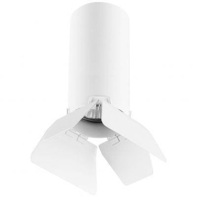 Накладной светильник Lightstar Rullo R486436