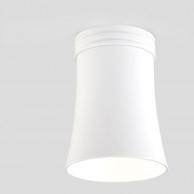 Накладной потолочный светильник Elektrostandard DLN100 GU10 WH белый