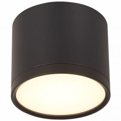 Светильник потолочный ST Luce ST113.432.09
