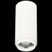 Светильник потолочный Zoom ST Luce ST600.542.10