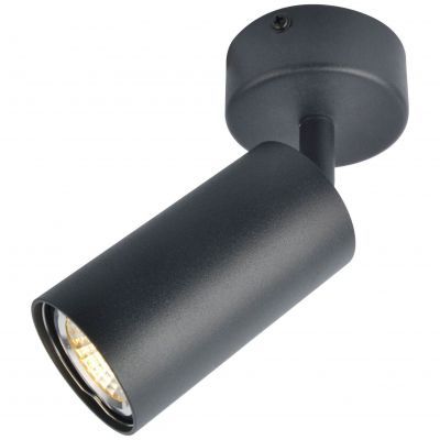 Светильник потолочный Arte Lamp A3216PL-1BK