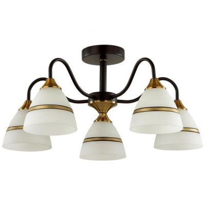 Потолочная люстра Lumion Nettie 5214/5C