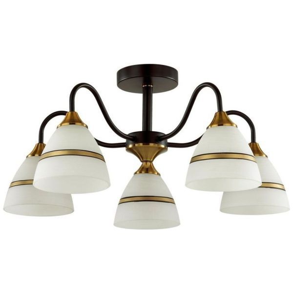 Потолочная люстра Lumion Nettie 5214/5C
