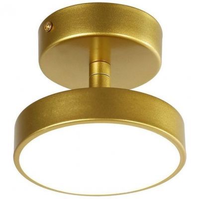Потолочный светильник F-Promo Atma 3059-1P
