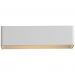 Светильник настенный ST Luce SL455.501.01