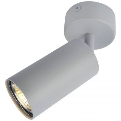 Светильник потолочный Arte Lamp A3216PL-1GY