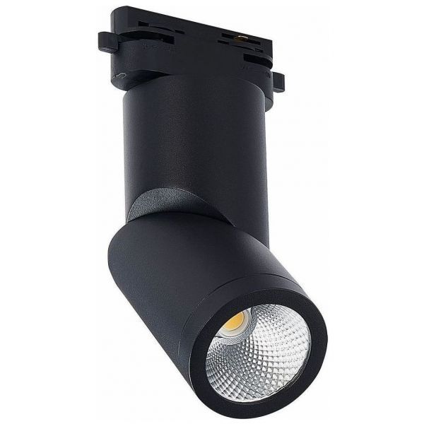 Трековый светодиодный светильник ST Luce ST650.436.10