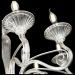 Подвесная люстра Maytoni Acqua DIA010PL-06TR