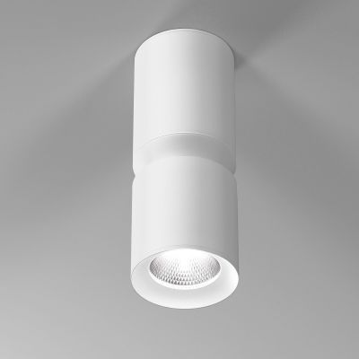 Светильник потолочный светодиодный Kayo 12W 4000К белый Elektrostandard 25048/LED