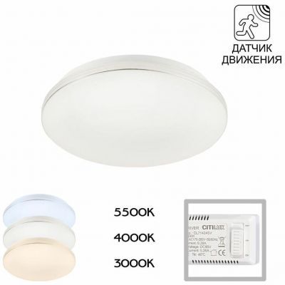 Потолочный светодиодный светильник Citilux CL71424SV